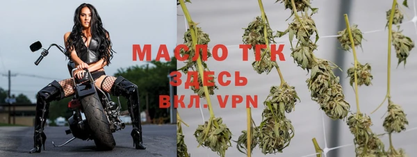 тгк Мегион