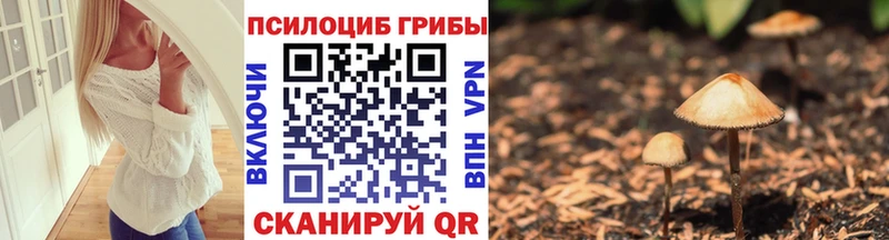 Галлюциногенные грибы Psilocybine cubensis  где можно купить наркотик  Малмыж 